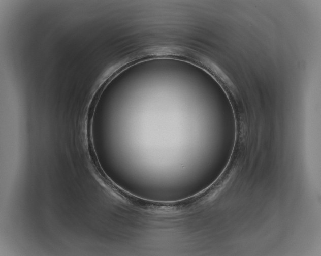 X0000111120986200907070954