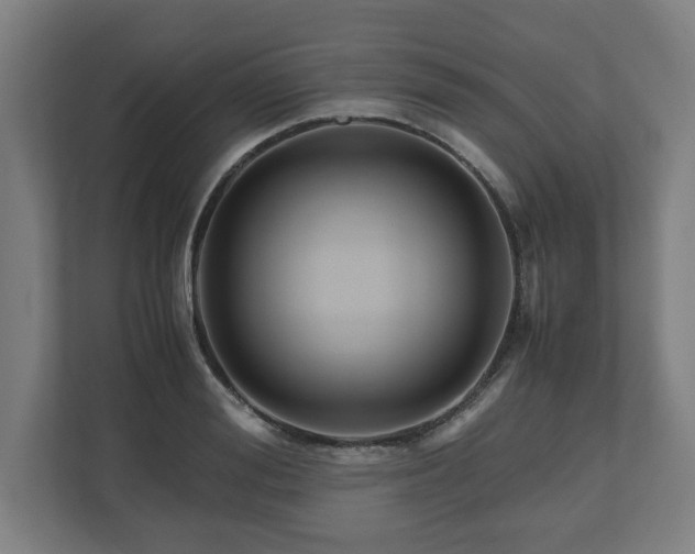 X0000111120988200907070954