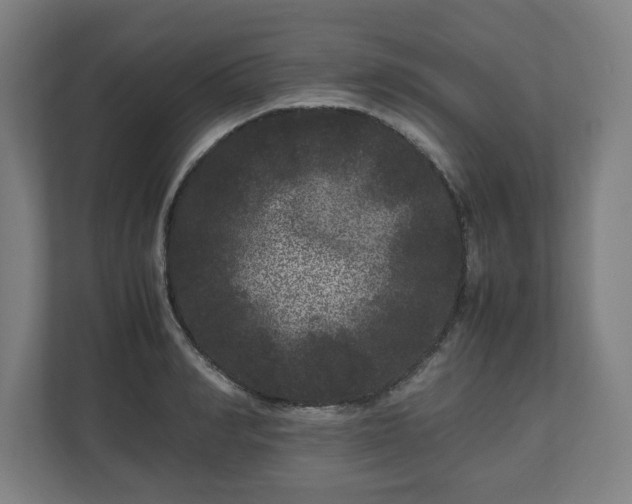 X0000111120990200907070954