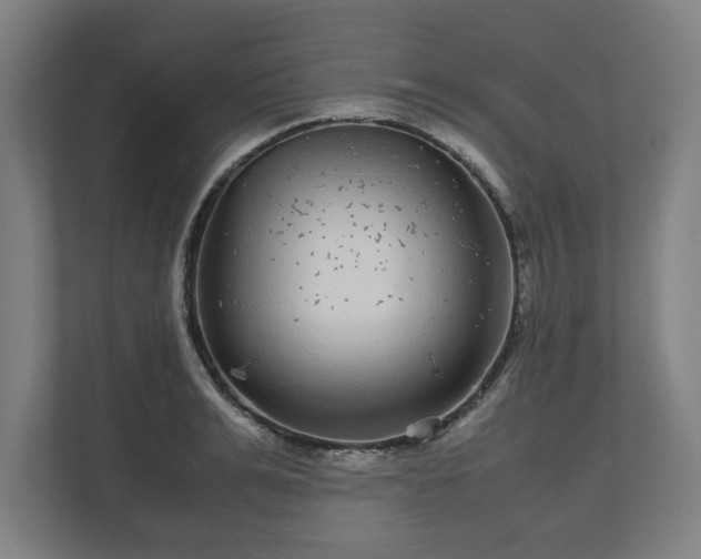 X0000111120991200907070954