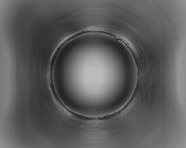 X0000111120992200907070954