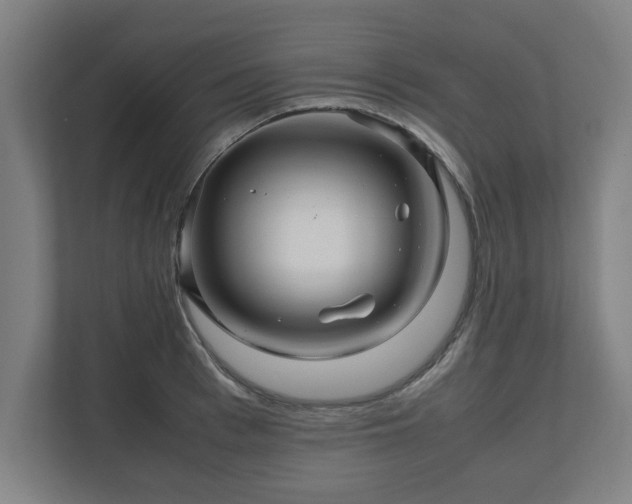 X0000111120993200907070954