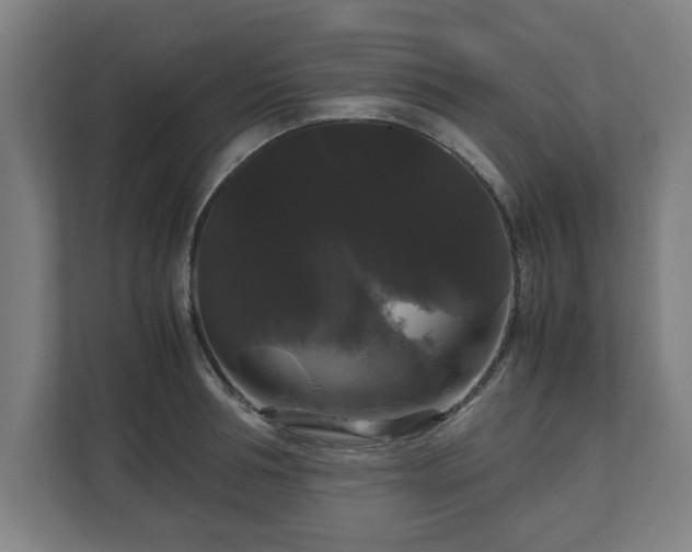 X0000111120994200907070954