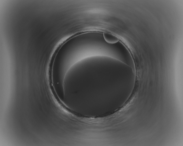 X0000111120995200907070954