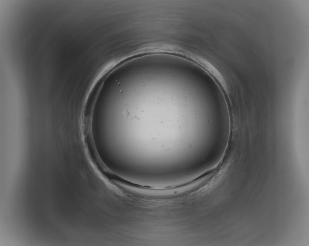 X0000111120997200907070954