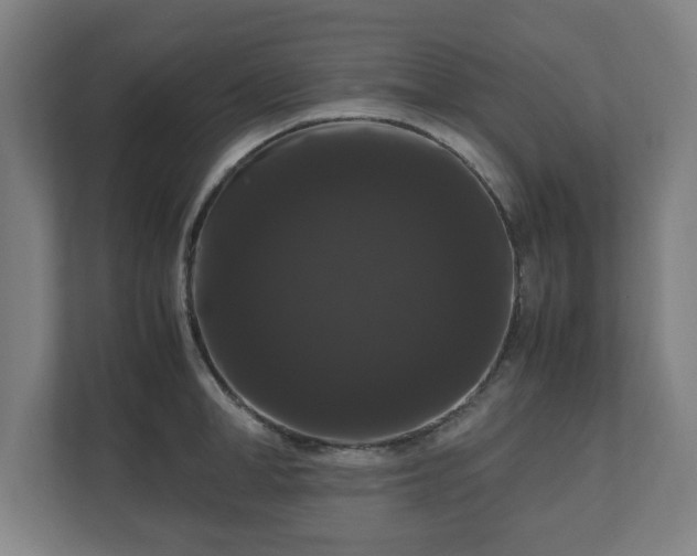 X0000111120998200907070954