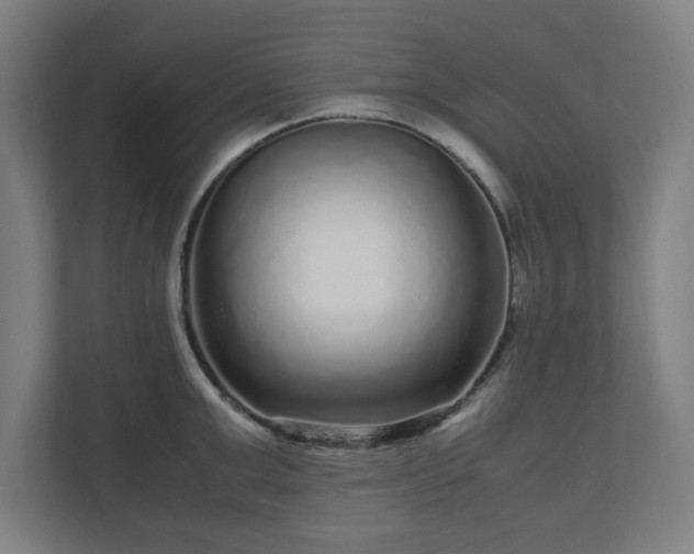 X0000111120999200907070954