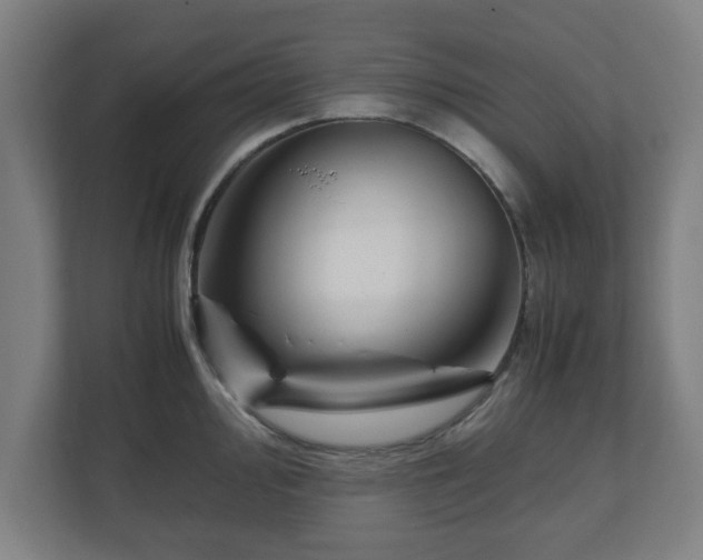 X0000111121000200907070954