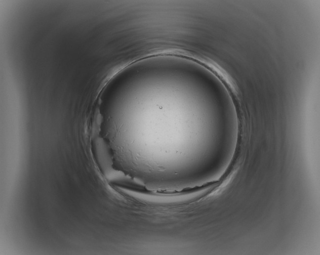 X0000111121001200907070954