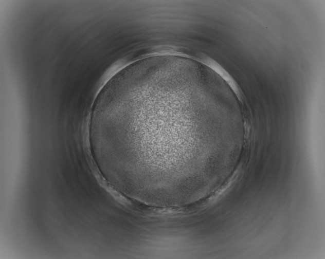 X0000111121002200907070954