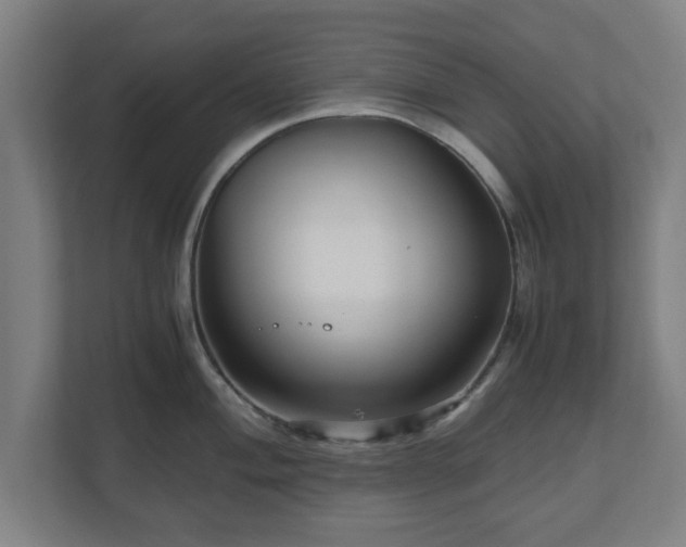 X0000111121004200907070954