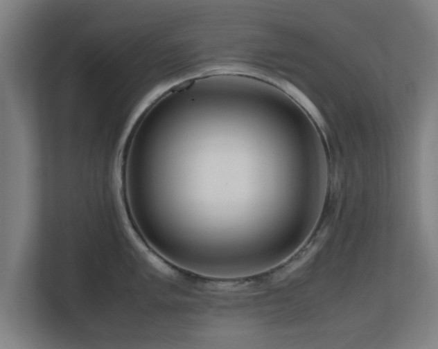 X0000111121005200907070954