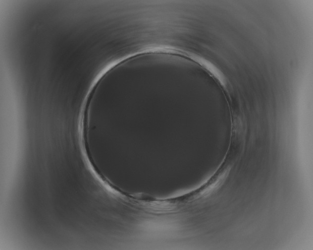 X0000111121007200907070954