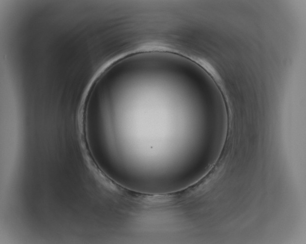 X0000111121008200907070954