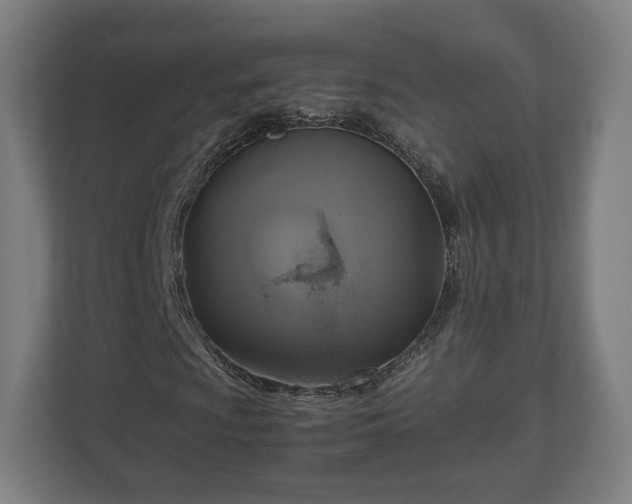 X0000111121009200907070953