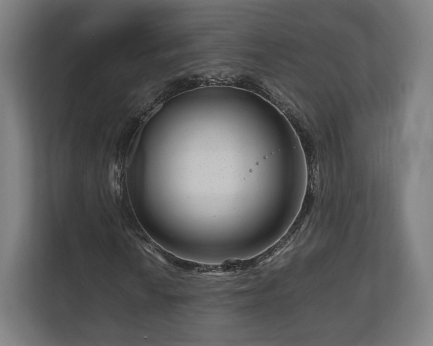 X0000111121010200907070953