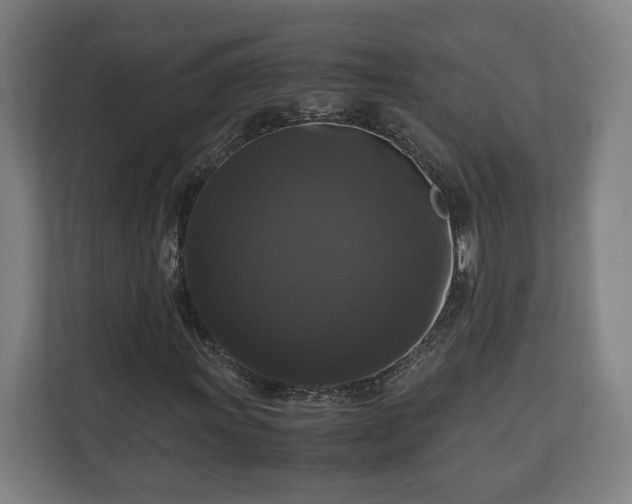 X0000111121011200907070953