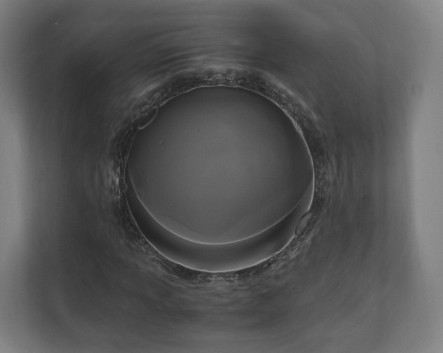 X0000111121013200907070953