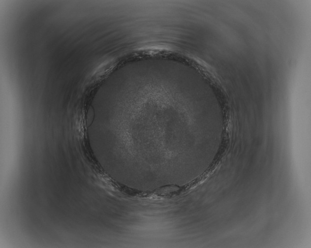 X0000111121014200907070953