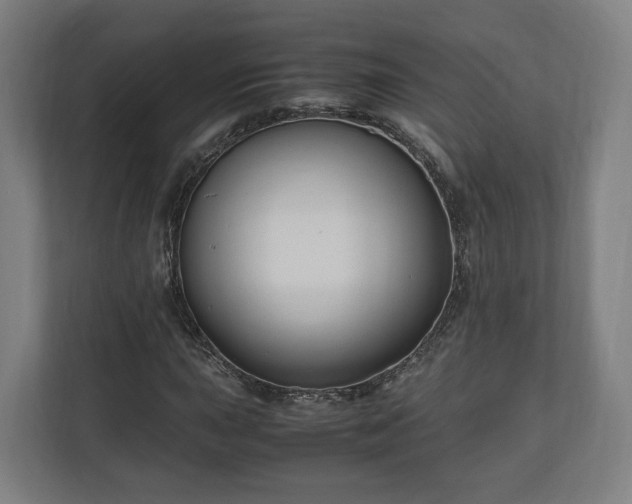 X0000111121015200907070953