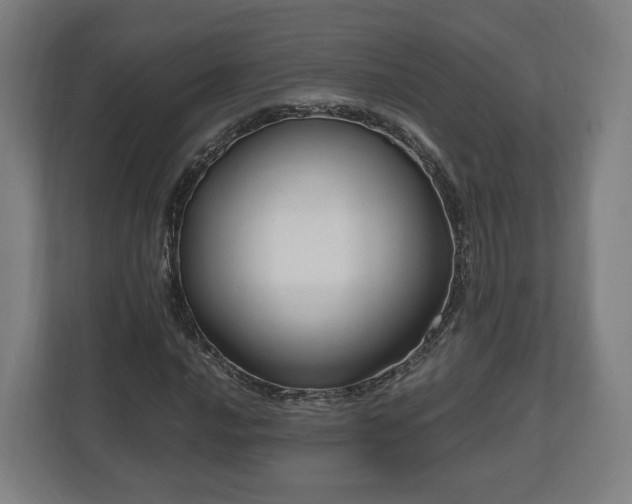 X0000111121016200907070953