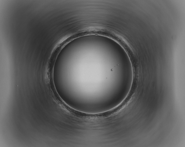 X0000111121018200907070953