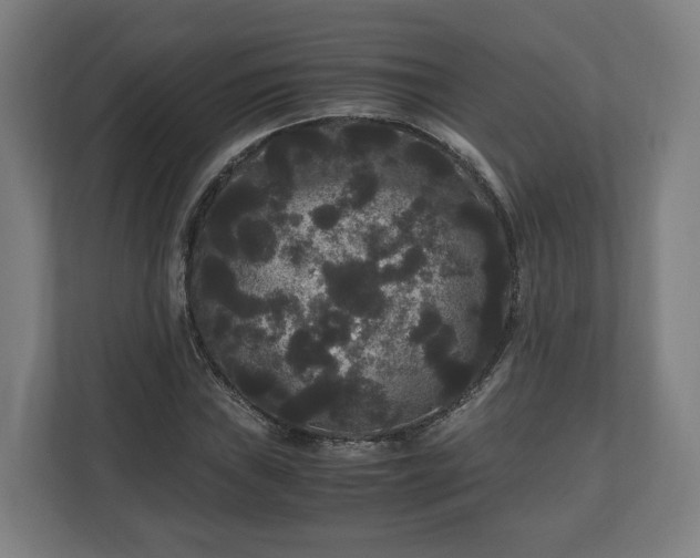 X0000111121019200907070953