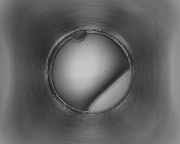 X0000111121020200907070953