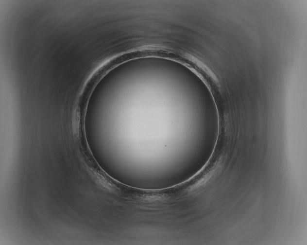 X0000111121021200907070953