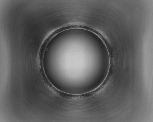 X0000111121022200907070953