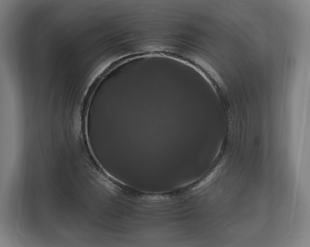 X0000111121023200907070953