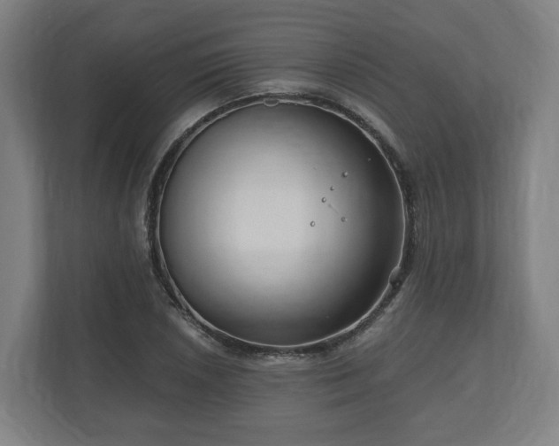 X0000111121026200907070953