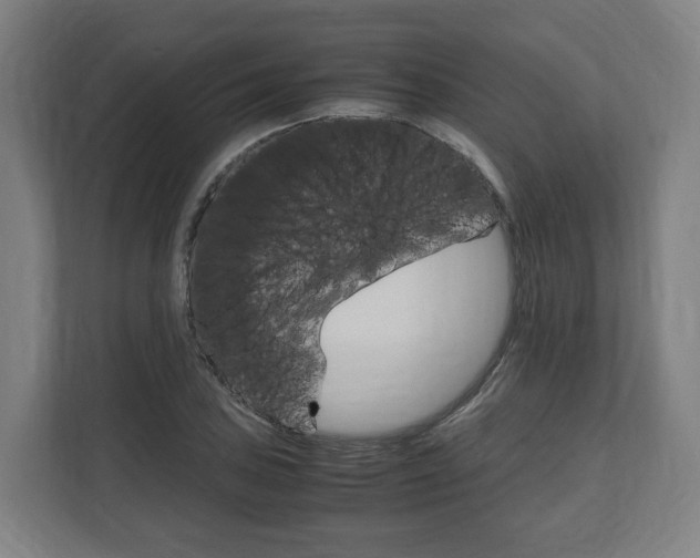 X0000111121027200907070953