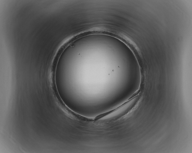 X0000111121029200907070953