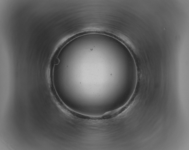 X0000111121030200907070953