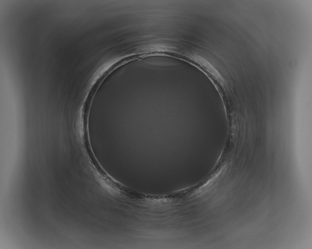 X0000111121031200907070953