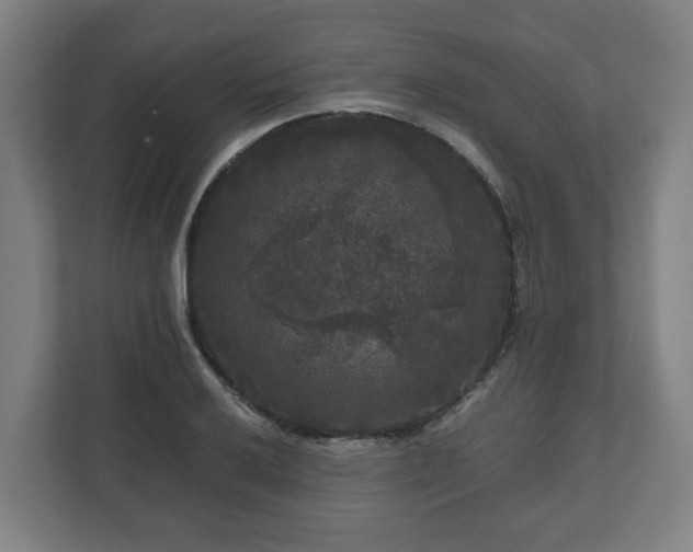 X0000111121032200907070953