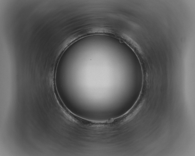 X0000111121033200907070953