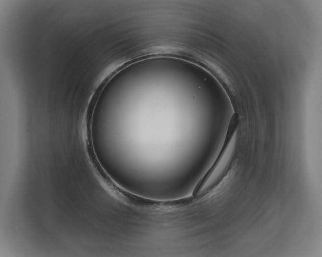 X0000111121034200907070953