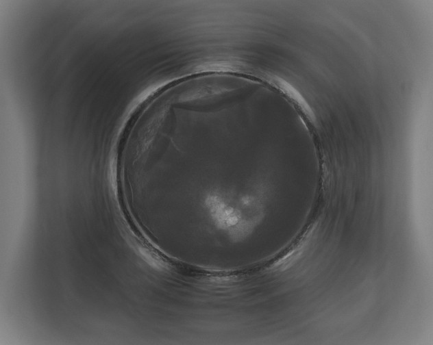 X0000111121035200907070953