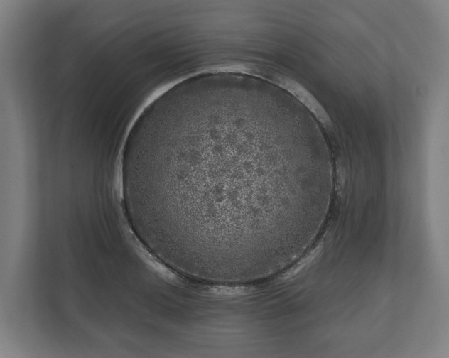 X0000111121036200907070953