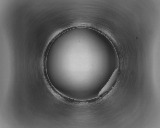 X0000111121038200907070953