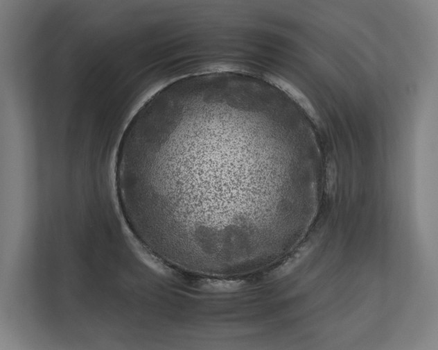 X0000111121039200907070953