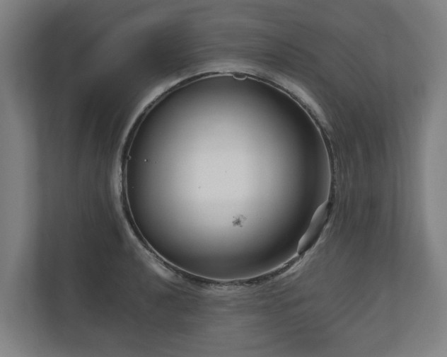 X0000111121040200907070953