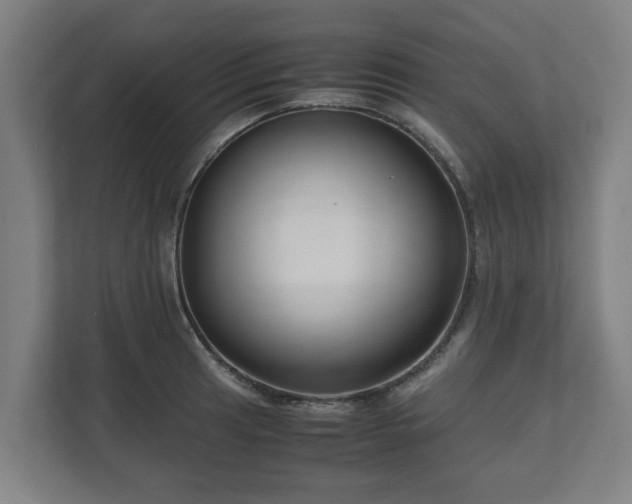 X0000111121041200907070953