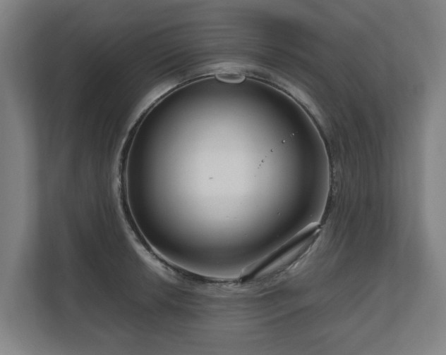 X0000111121042200907070953