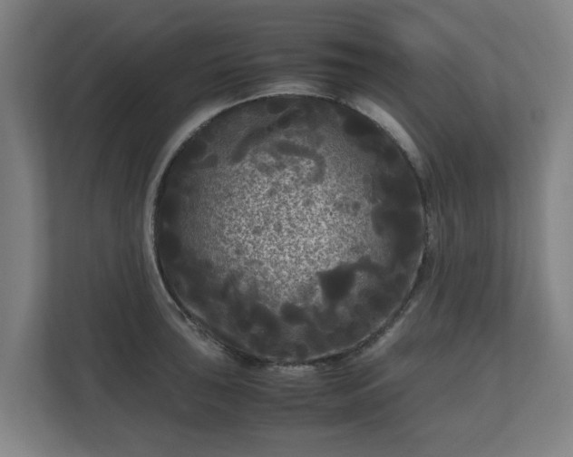 X0000111121043200907070953