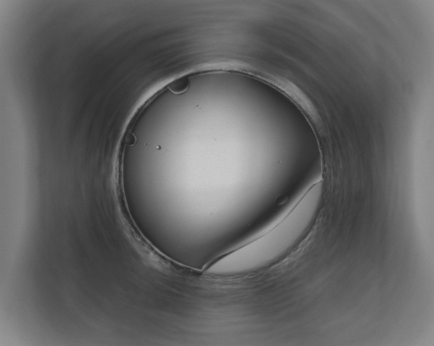 X0000111121044200907070953