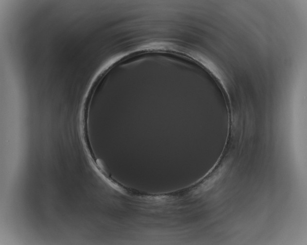 X0000111121045200907070953