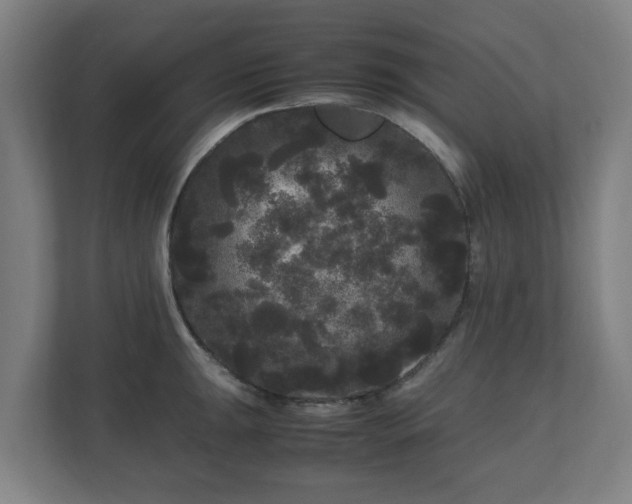 X0000111121047200907070953